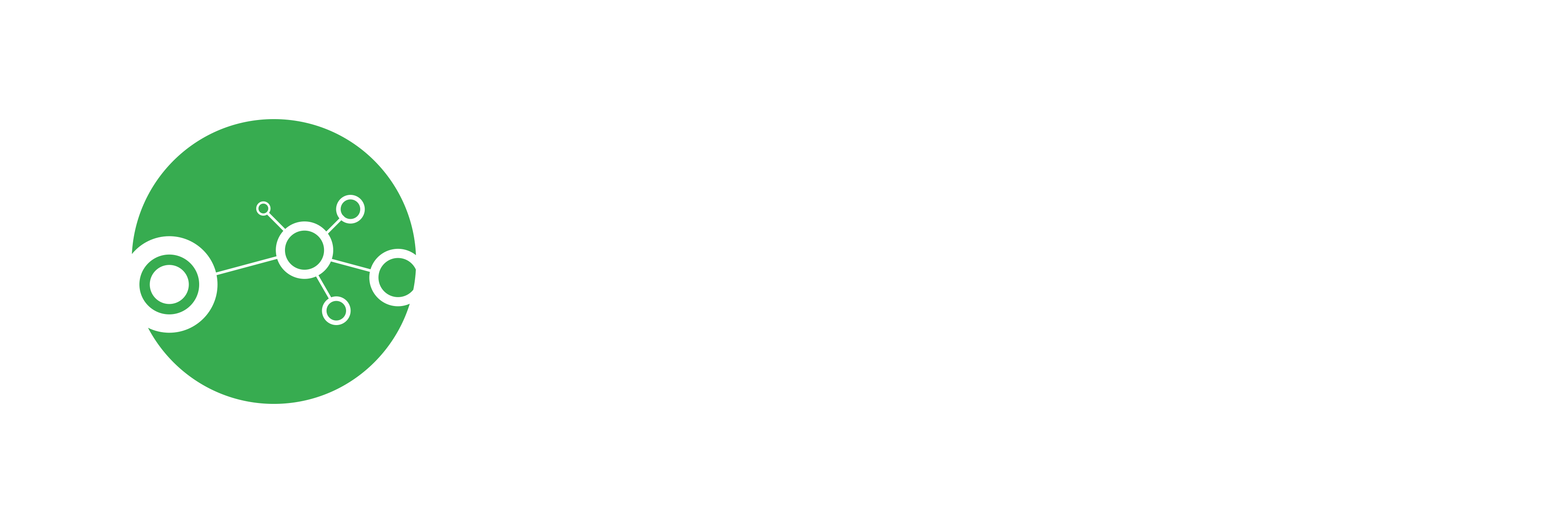 Cyber Logo Green White